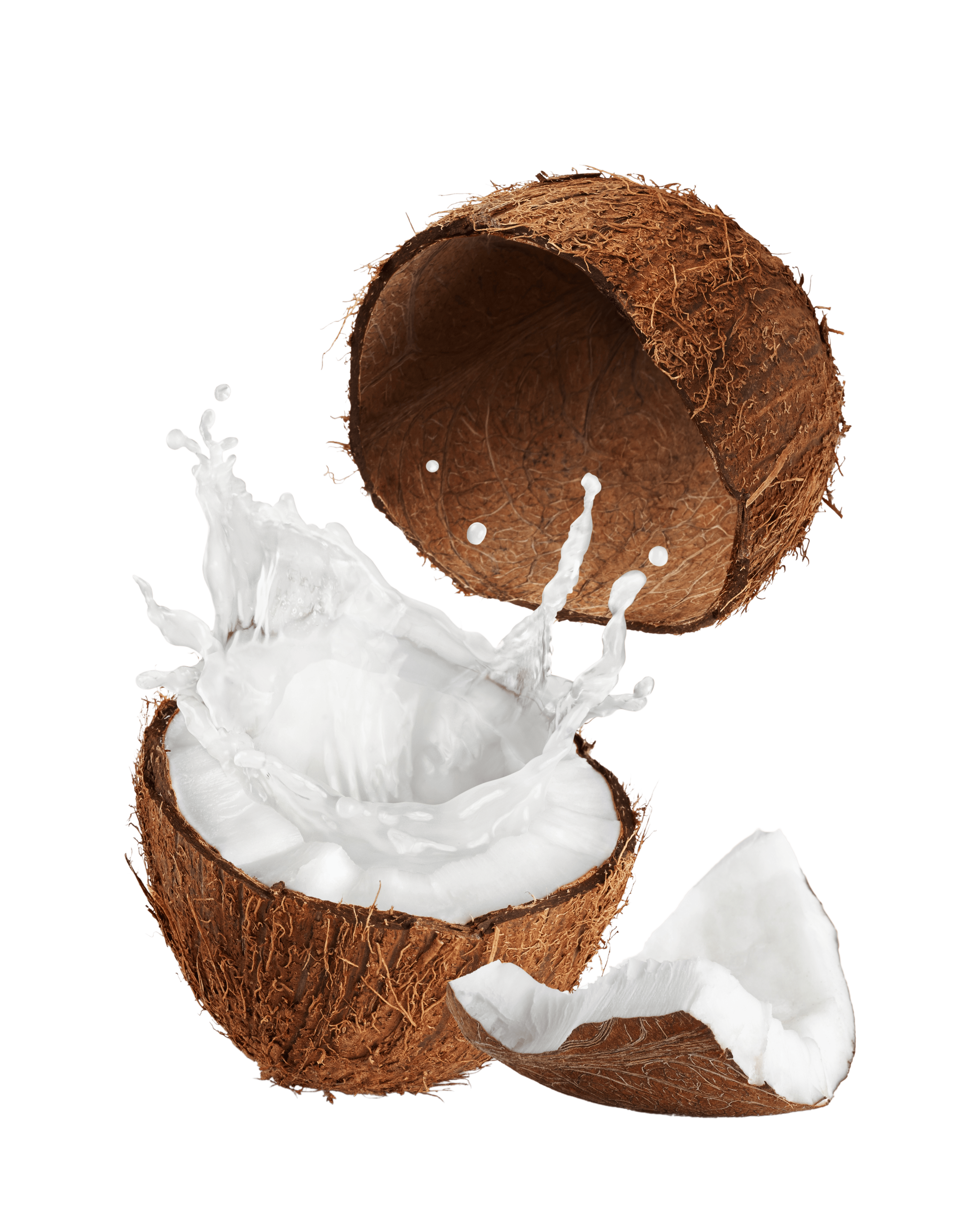 africa food Coco